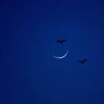 Amalan Bulan Dzulhijjah