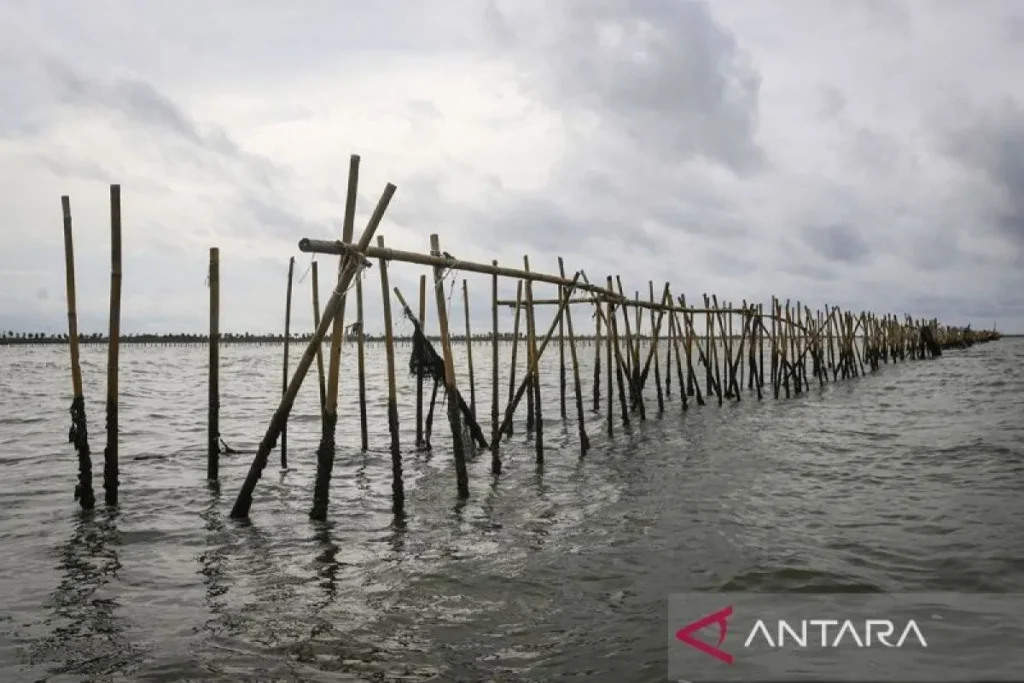 Polemik Pemasangan Pagar Laut