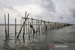 Polemik Pemasangan Pagar Laut