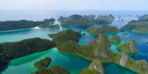 kkp-berhasil-lindungi-populasi-pari-hiu-wisata-bahari-raja-ampat-makin-mendunia