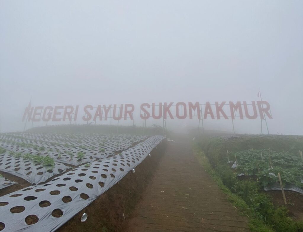 20250709_215956