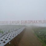 Panorama Negeri Sayur Sukomakmur