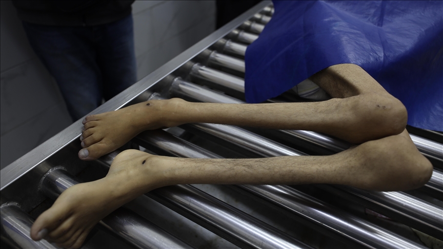 thumbs_b_c_74b8207ab8b7150b942fc106df1fadfd