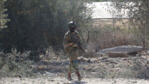 thumbs_b_c_bd9d30181db2048d2917147251176f63