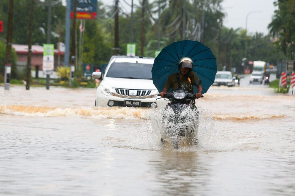 4AA35EA7BCD67F9473DB0F04C9A1B518_low_0