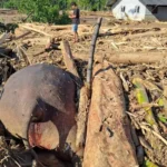 Gajah Sumatera Ditemukan Mati