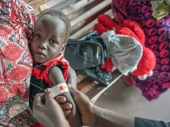 Screenshot 2025-11-04 084509