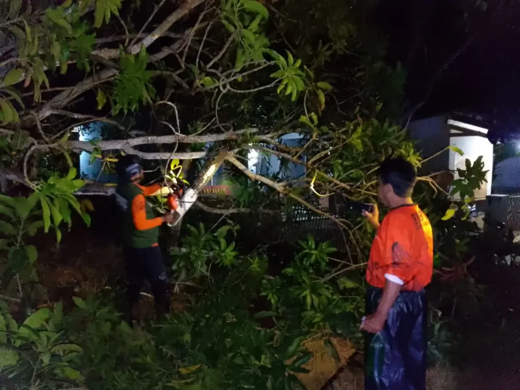 WhatsApp Image 2025-11-24 at 12.26.53