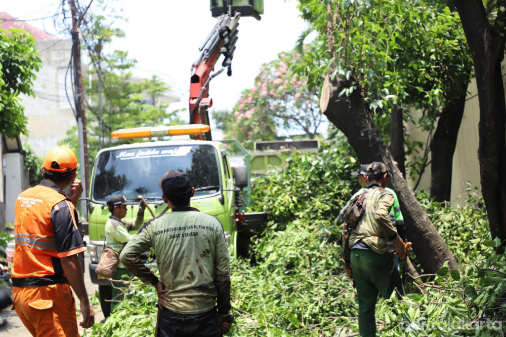 Antisipasi Tumbang, Lima Pohon di Darmawangsa X Dipangkas