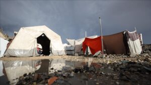 thumbs_b_c_82464d06bd0e0e73301a013d43987ea3